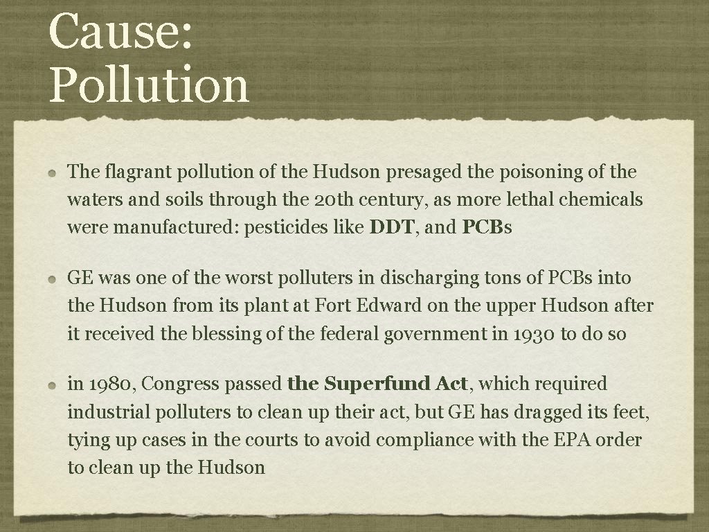 Cause: Pollution The flagrant pollution of the Hudson presaged the poisoning of the waters