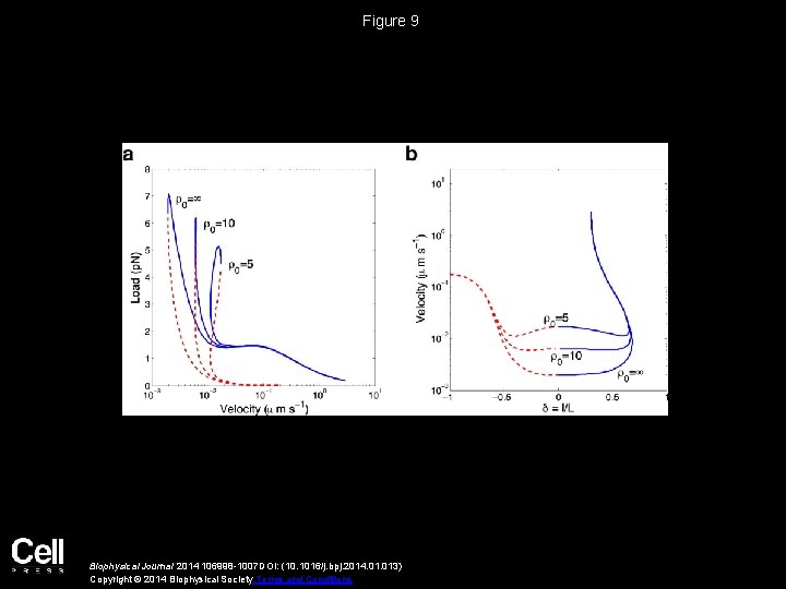 Figure 9 Biophysical Journal 2014 106998 -1007 DOI: (10. 1016/j. bpj. 2014. 013) Copyright