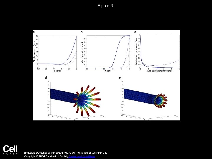 Figure 3 Biophysical Journal 2014 106998 -1007 DOI: (10. 1016/j. bpj. 2014. 013) Copyright