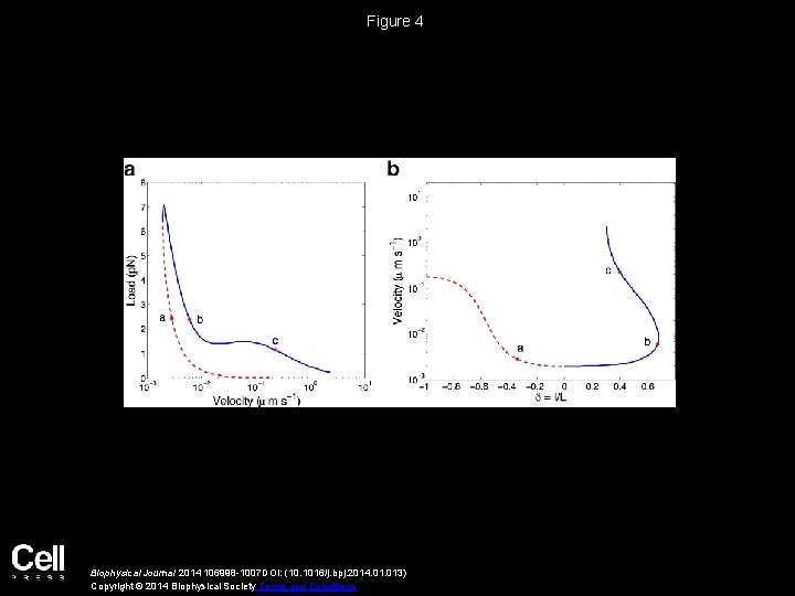 Figure 4 Biophysical Journal 2014 106998 -1007 DOI: (10. 1016/j. bpj. 2014. 013) Copyright