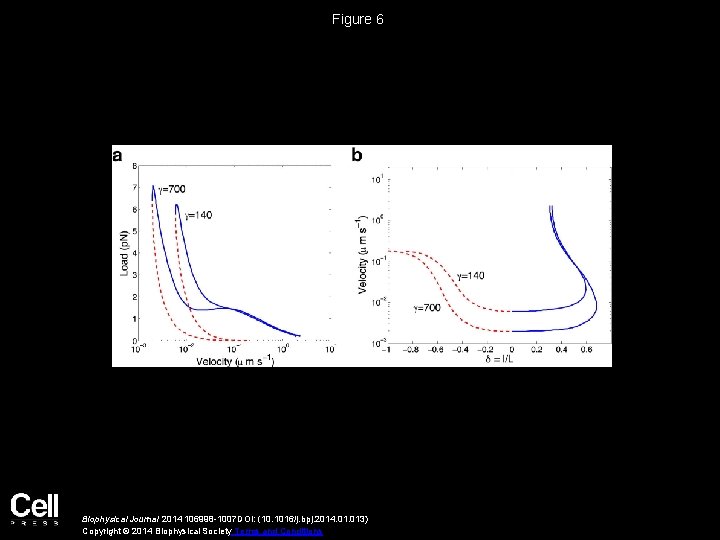 Figure 6 Biophysical Journal 2014 106998 -1007 DOI: (10. 1016/j. bpj. 2014. 013) Copyright