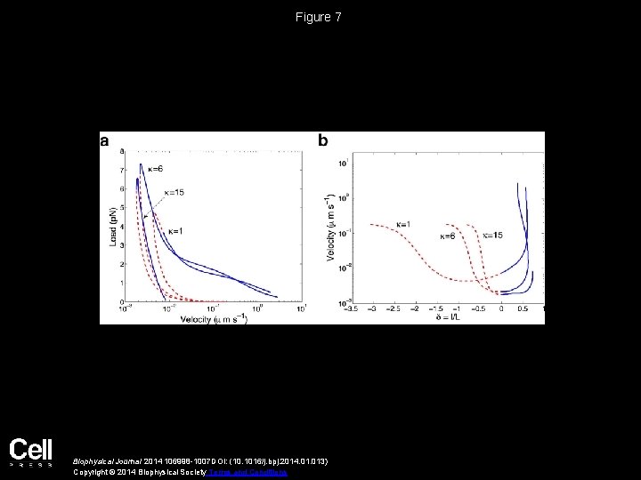 Figure 7 Biophysical Journal 2014 106998 -1007 DOI: (10. 1016/j. bpj. 2014. 013) Copyright