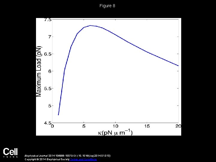 Figure 8 Biophysical Journal 2014 106998 -1007 DOI: (10. 1016/j. bpj. 2014. 013) Copyright