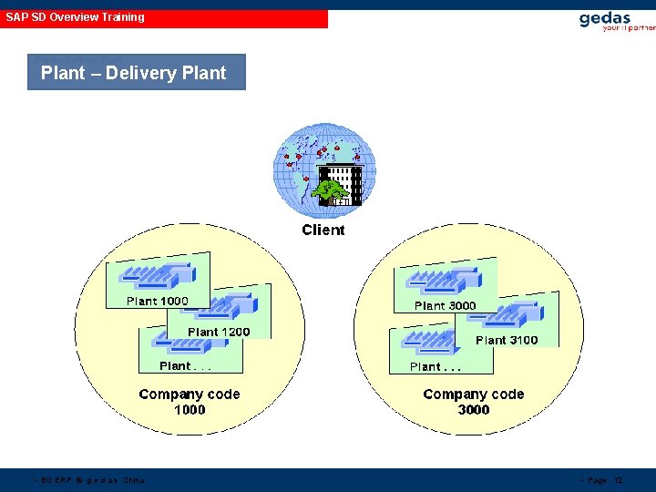 SAP SD Overview Training Plant – Delivery Plant • BU ERP © g e SAP SD Overview Training Plant – Delivery Plant • BU ERP © g e