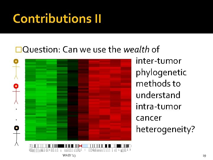 Contributions II �Question: Can we use the wealth of inter-tumor phylogenetic methods to understand