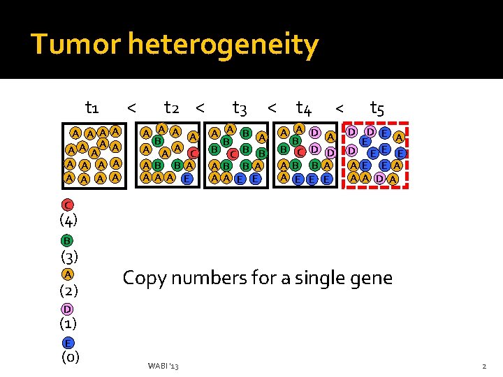 Tumor heterogeneity t 1 A A AAA A A A < A A t