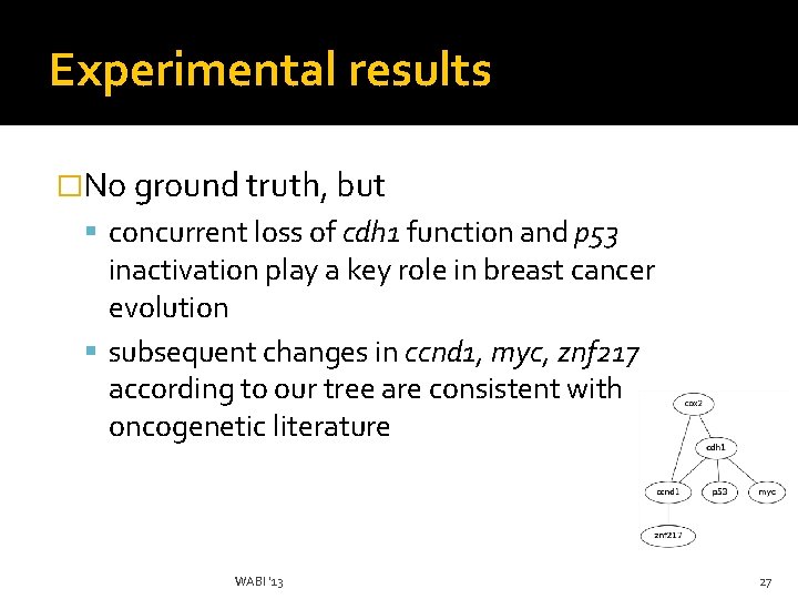 Experimental results �No ground truth, but concurrent loss of cdh 1 function and p