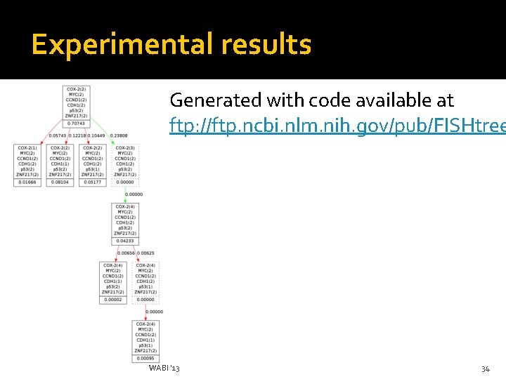 Experimental results Generated with code available at ftp: //ftp. ncbi. nlm. nih. gov/pub/FISHtree WABI