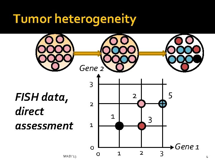 Tumor heterogeneity Gene 2 3 FISH data, direct assessment 2 WABI '13 1 1