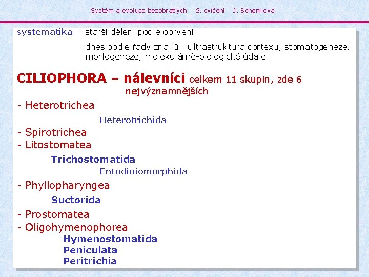 Systém a evoluce bezobratlých 2. cvičení J. Schenková systematika - starší dělení podle obrvení