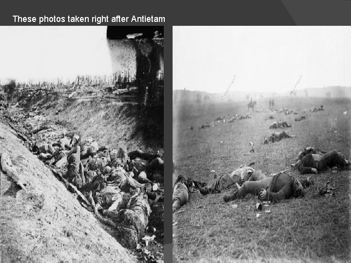 These photos taken right after Antietam 