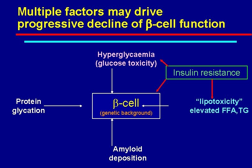 Multiple factors may drive progressive decline of b-cell function Hyperglycaemia (glucose toxicity) Insulin resistance