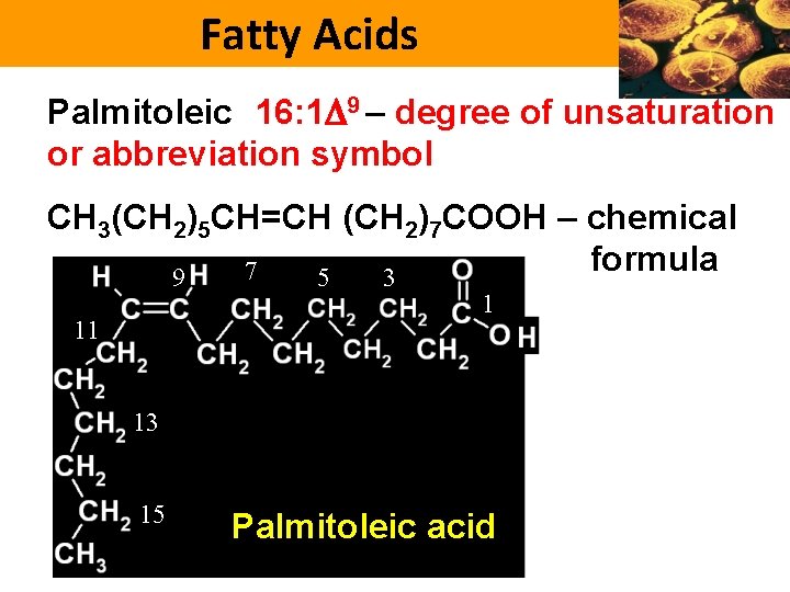 Fatty Acids Palmitoleic 16: 1 9 – degree of unsaturation or abbreviation symbol CH