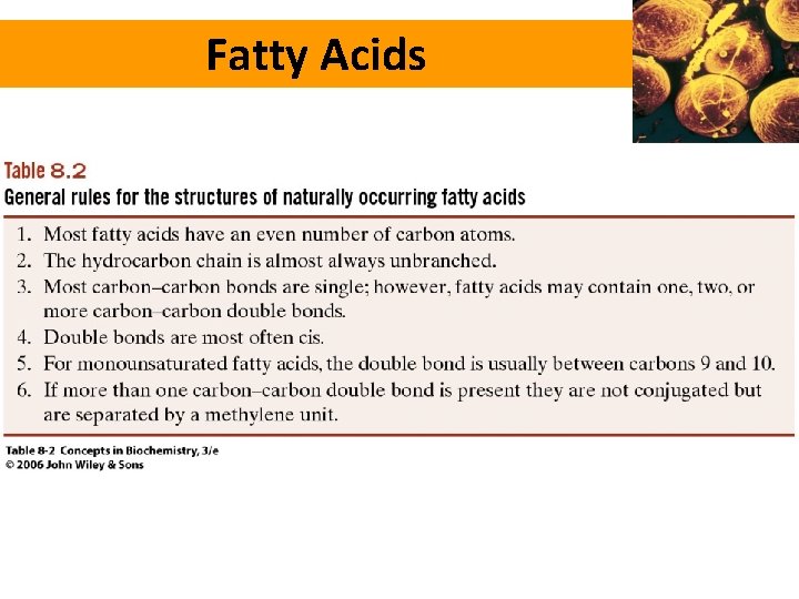 Fatty Acids 