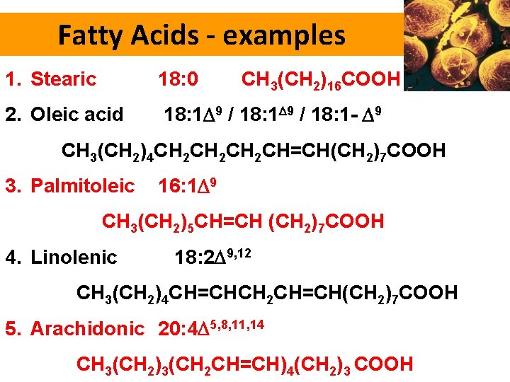Fatty Acids - examples 1. Stearic 18: 0 2. Oleic acid 18: 1 9