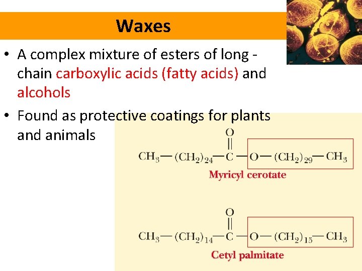 Waxes • A complex mixture of esters of long chain carboxylic acids (fatty acids)