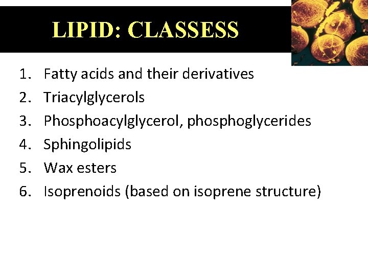 LIPID: CLASSESS 1. 2. 3. 4. 5. 6. Fatty acids and their derivatives Triacylglycerols