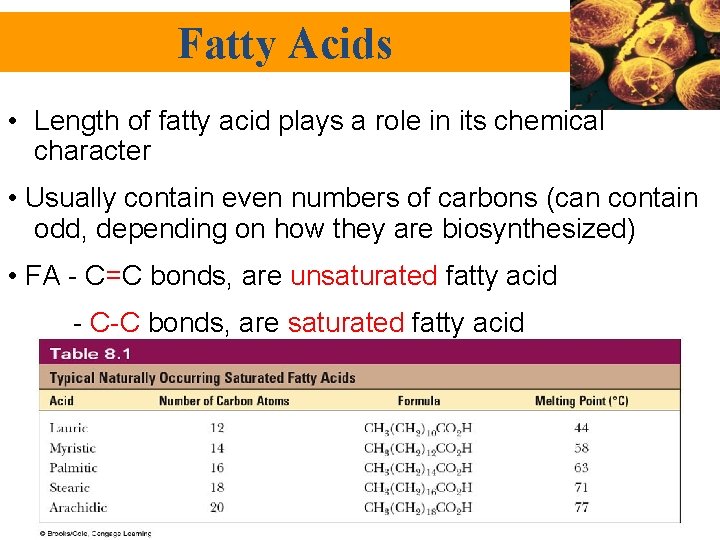 Fatty Acids • Length of fatty acid plays a role in its chemical character