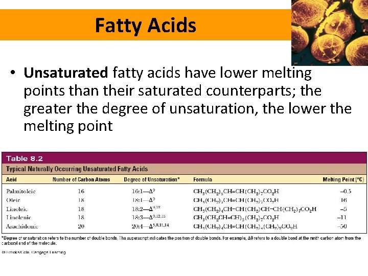 Fatty Acids • Unsaturated fatty acids have lower melting points than their saturated counterparts;