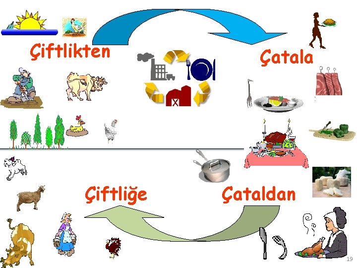 Çiftlikten Çiftliğe Çatala Çataldan 19 