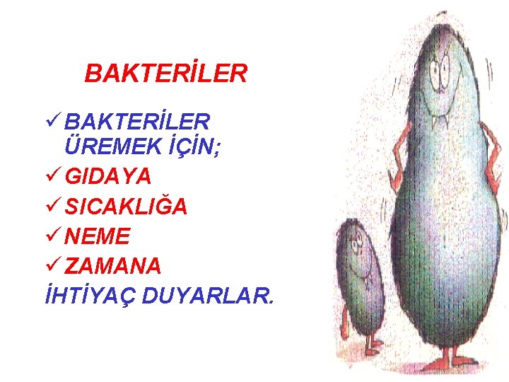 BAKTERİLER ü BAKTERİLER ÜREMEK İÇİN; ü GIDAYA ü SICAKLIĞA ü NEME ü ZAMANA İHTİYAÇ