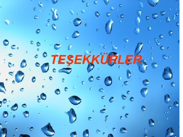 TEŞEKKÜRLER 78 