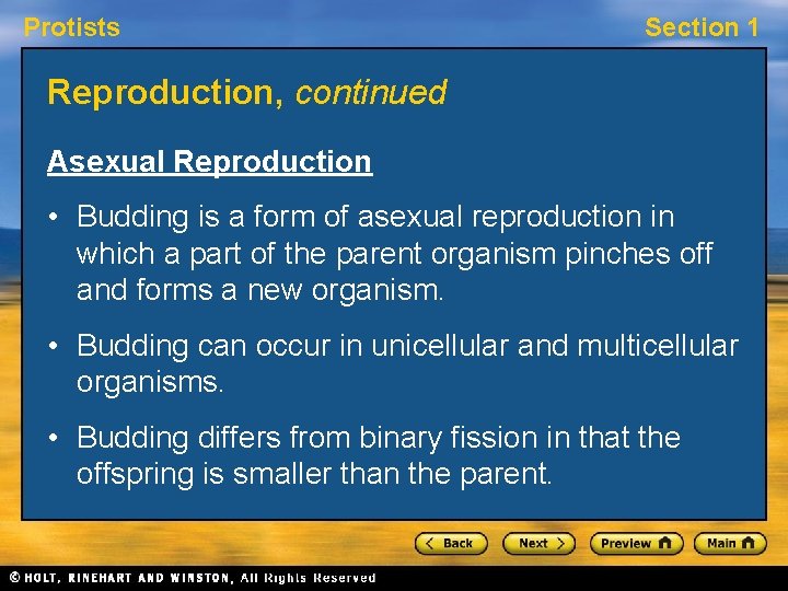 Protists Section 1 Reproduction, continued Asexual Reproduction • Budding is a form of asexual