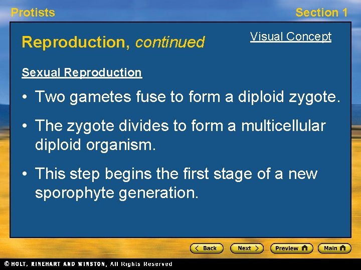 Protists Reproduction, continued Section 1 Visual Concept Sexual Reproduction • Two gametes fuse to