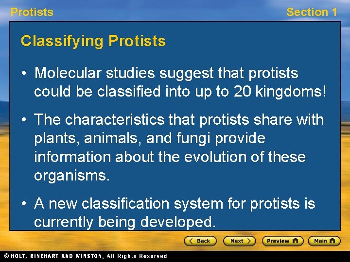 Protists Section 1 Classifying Protists • Molecular studies suggest that protists could be classified