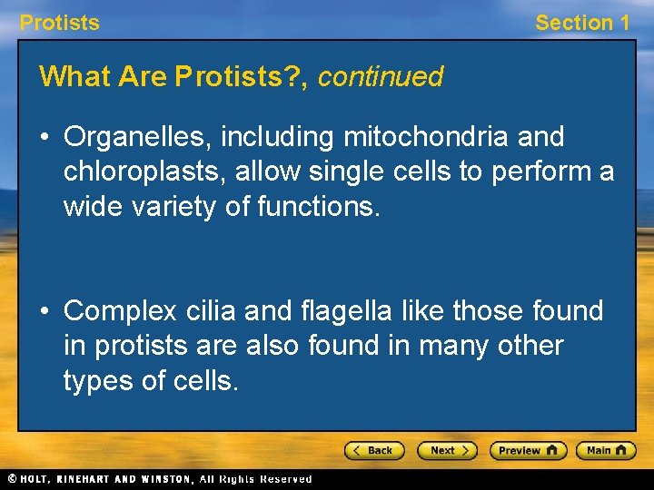 Protists Section 1 What Are Protists? , continued • Organelles, including mitochondria and chloroplasts,