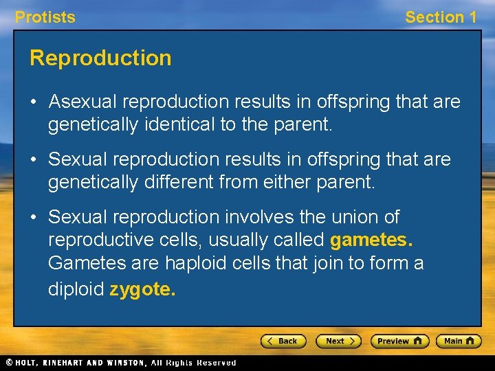 Protists Section 1 Reproduction • Asexual reproduction results in offspring that are genetically identical