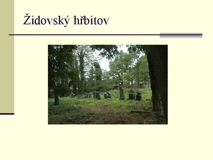 Židovský hřbitov 