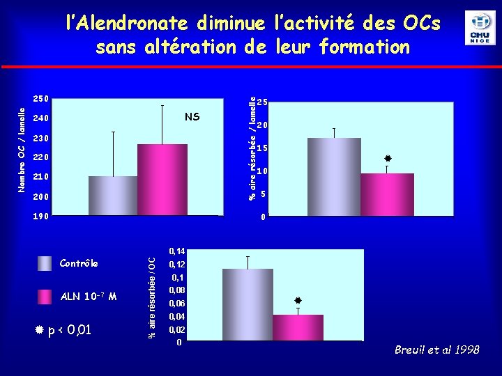 l’Alendronate diminue l’activité des OCs sans altération de leur formation NS 240 230 %