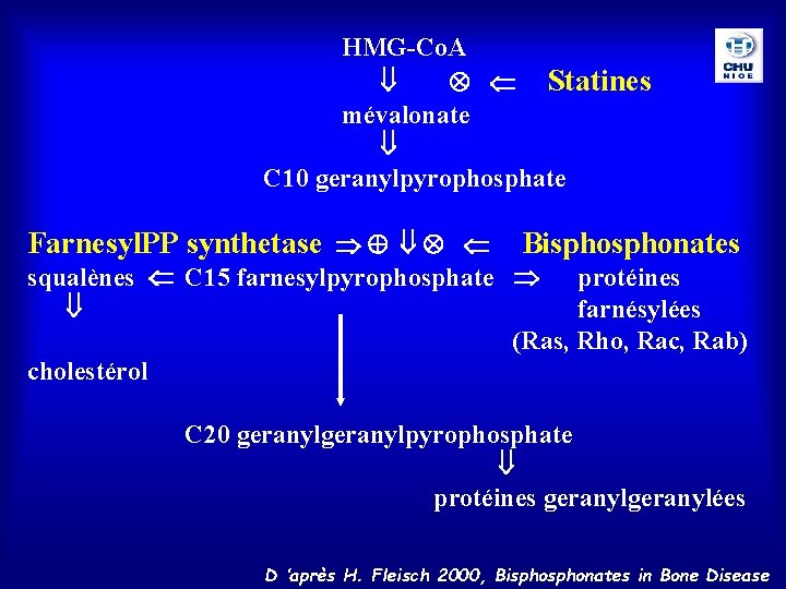 HMG-Co. A Statines mévalonate C 10 geranylpyrophosphate Farnesyl. PP synthetase Bisphonates squalènes C 15