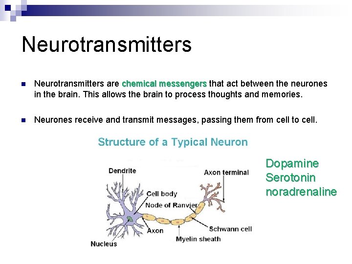 Neurotransmitters n Neurotransmitters are chemical messengers that act between the neurones in the brain.