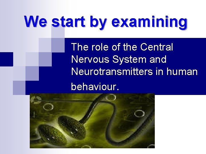 We start by examining The role of the Central Nervous System and Neurotransmitters in