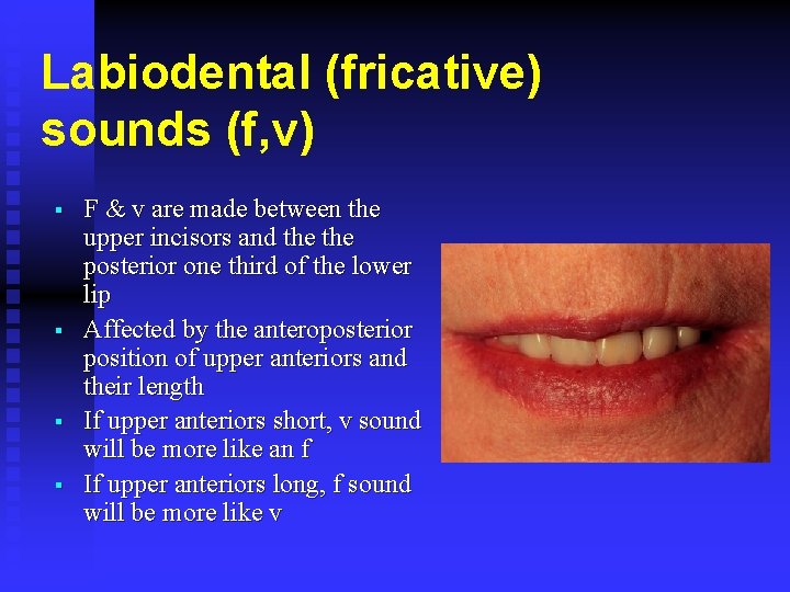 Labiodental (fricative) sounds (f, v) § § F & v are made between the