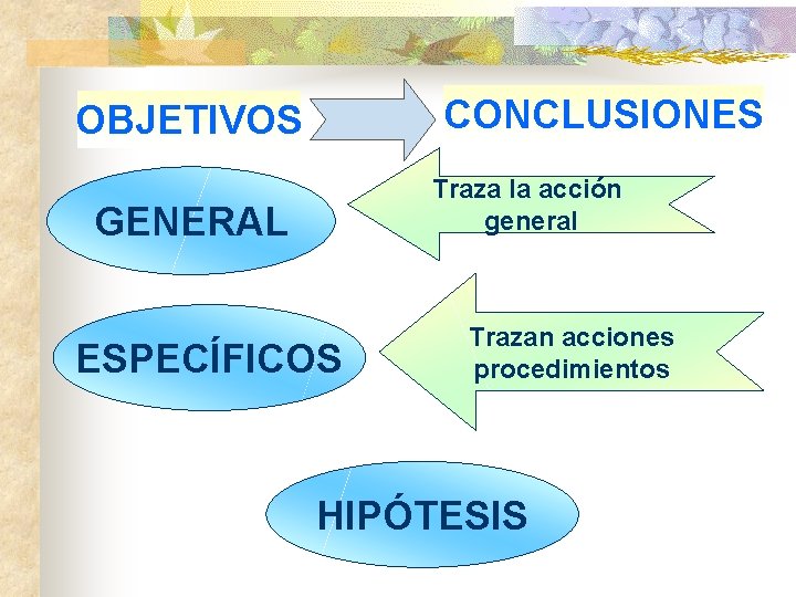 CONCLUSIONES OBJETIVOS Traza la acción general GENERAL ESPECÍFICOS Trazan acciones procedimientos HIPÓTESIS 