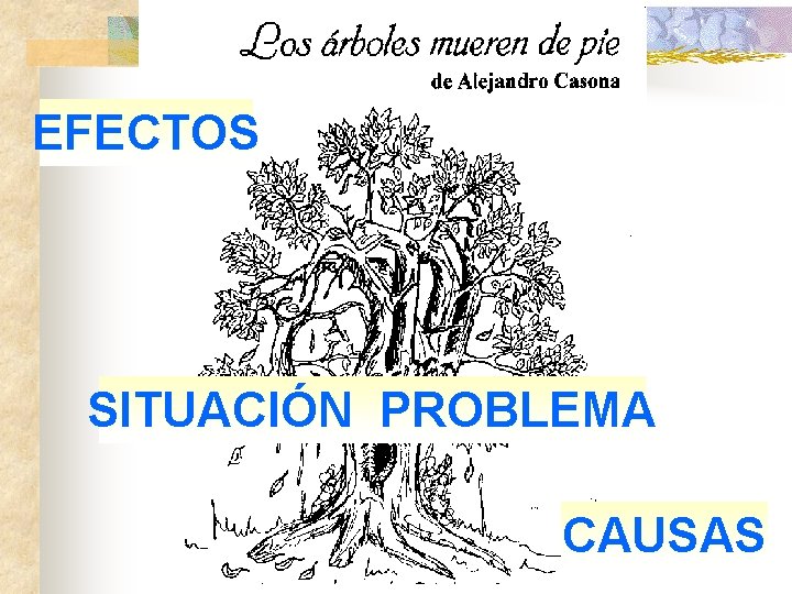 EFECTOS SITUACIÓN PROBLEMA CAUSAS 