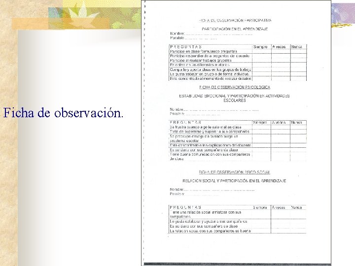 Ficha de observación. 