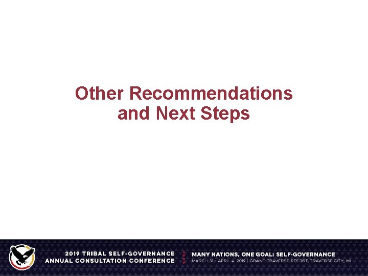 Other Recommendations and Next Steps 