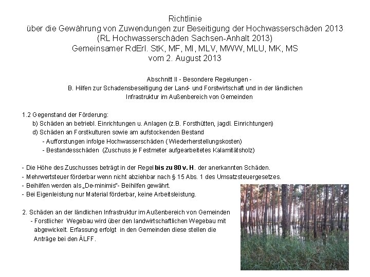 Richtlinie über die Gewährung von Zuwendungen zur Beseitigung der Hochwasserschäden 2013 (RL Hochwasserschäden Sachsen-Anhalt