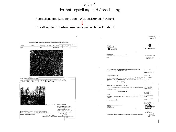 Ablauf der Antragstellung und Abrechnung Feststellung des Schadens durch Waldbesitzer od. Forstamt Erstellung der