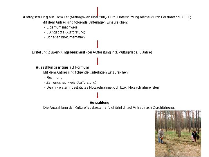 Antragstellung auf Formular (Auftragswert über 500, - Euro, Unterstützung hierbei durch Forstamt od. ALFF)