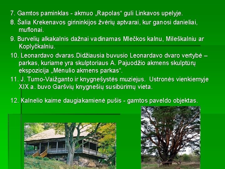 7. Gamtos paminklas - akmuo „Rapolas“ guli Linkavos upelyje. 8. Šalia Krekenavos girininkijos žvėrių