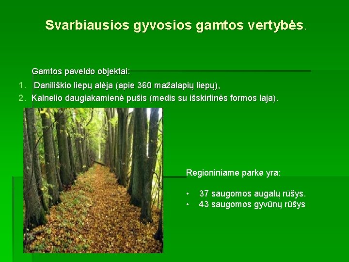 Svarbiausios gyvosios gamtos vertybės. Gamtos paveldo objektai: 1. Daniliškio liepų alėja (apie 360 mažalapių