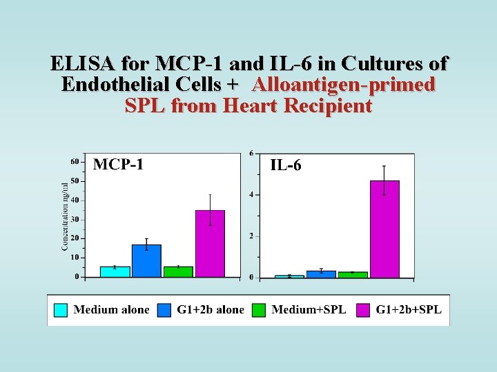 ELISA for MCP-1 and IL-6 in Cultures of Endothelial Cells + Alloantigen-primed SPL from
