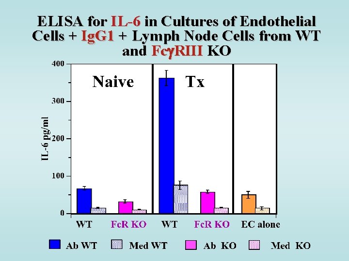 ELISA for IL-6 in Cultures of Endothelial Cells + Ig. G 1 + Lymph