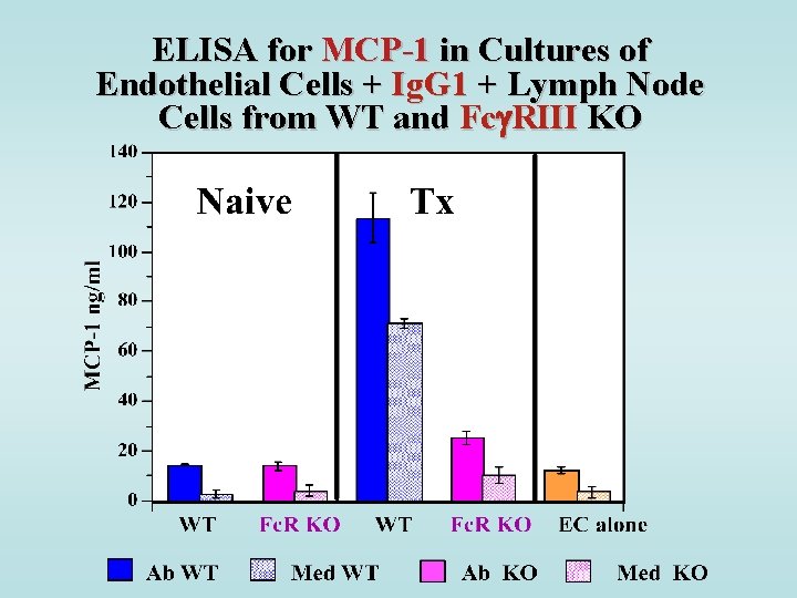 ELISA for MCP-1 in Cultures of Endothelial Cells + Ig. G 1 + Lymph