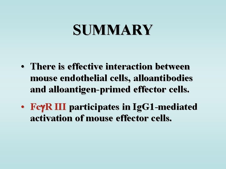 SUMMARY • There is effective interaction between mouse endothelial cells, alloantibodies and alloantigen-primed effector